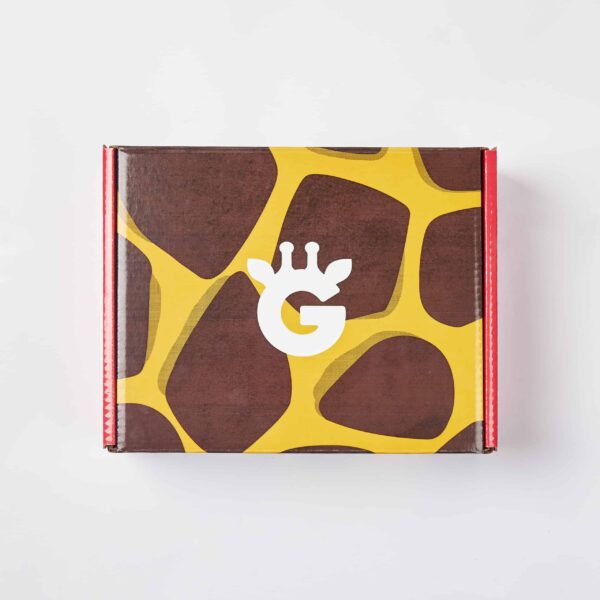 Mini Passover in a box