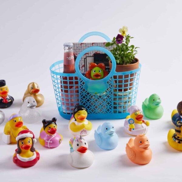 Wix desktop surprise