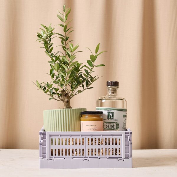 Holy Land Gin &amp; Honey