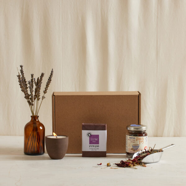 Mini Passover in a box