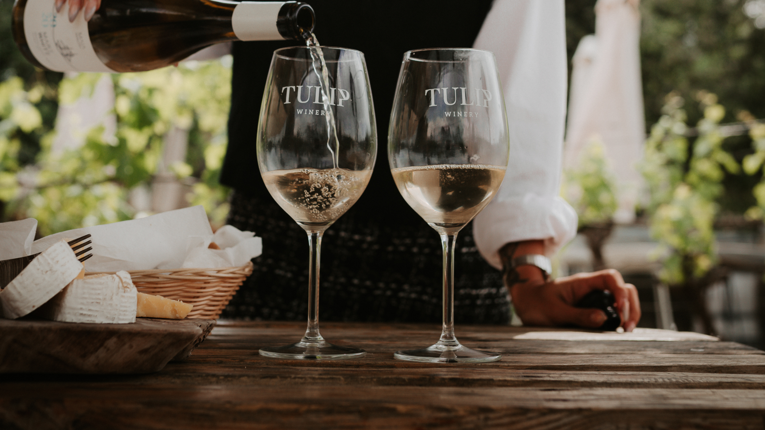 Wine Experience  – Tulip winery – Hp