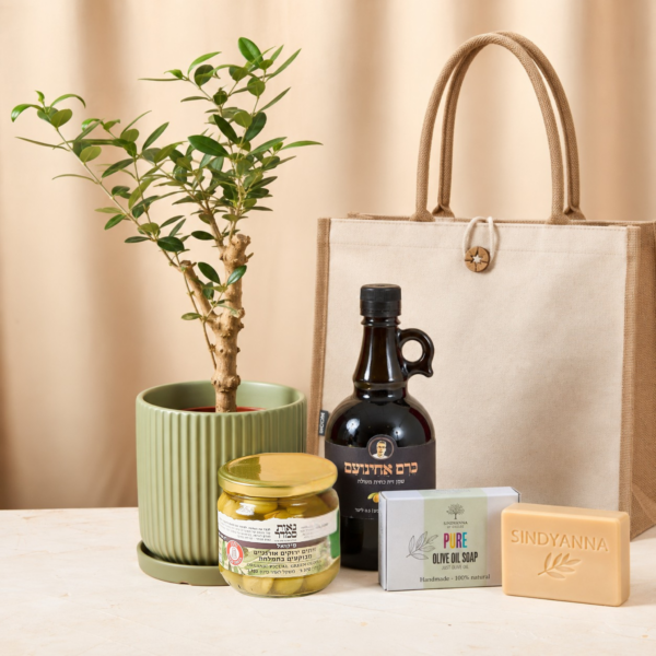 Olive Stories